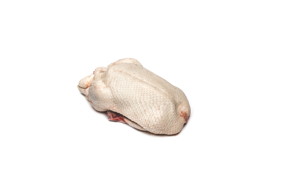 Canette (volaille) Canette (volaille)