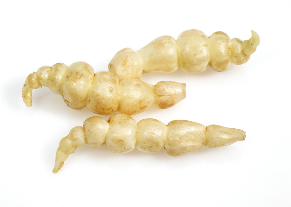 Crosnes Crosnes
