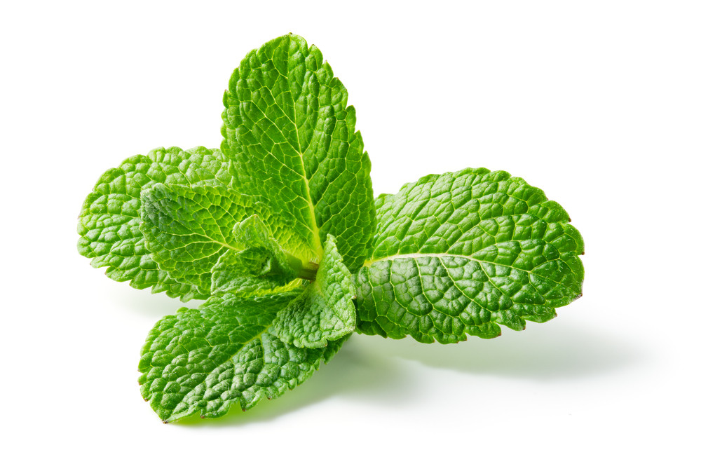 feuille(s) de menthe