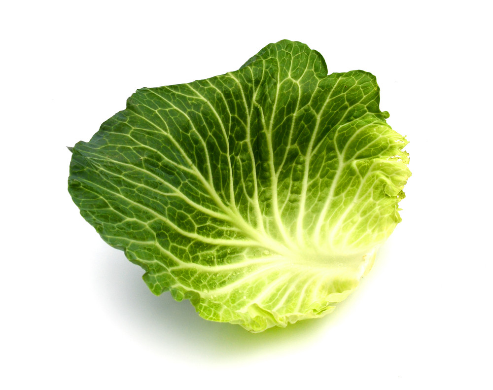 feuille(s) de chou