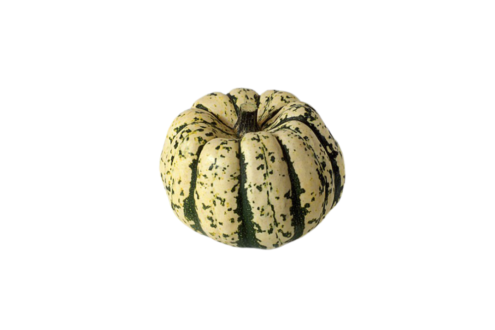 courge(s) patidou courge(s) patidou