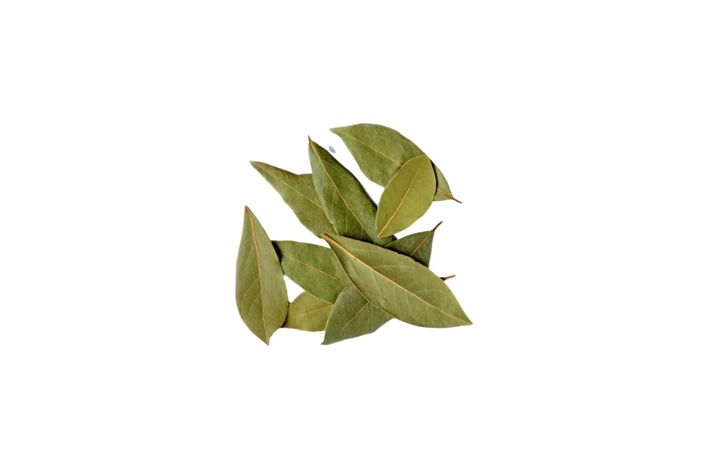 feuille(s) de bois d'Inde