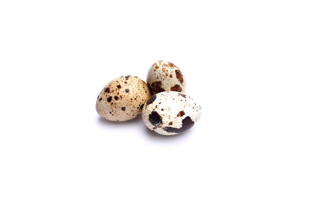 Oeuf(s) de caille Oeuf(s) de caille