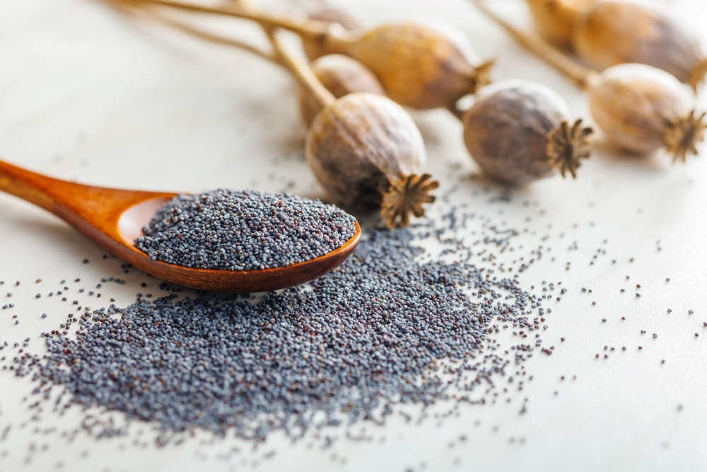 5 bonnes raisons de manger des graines de pavot