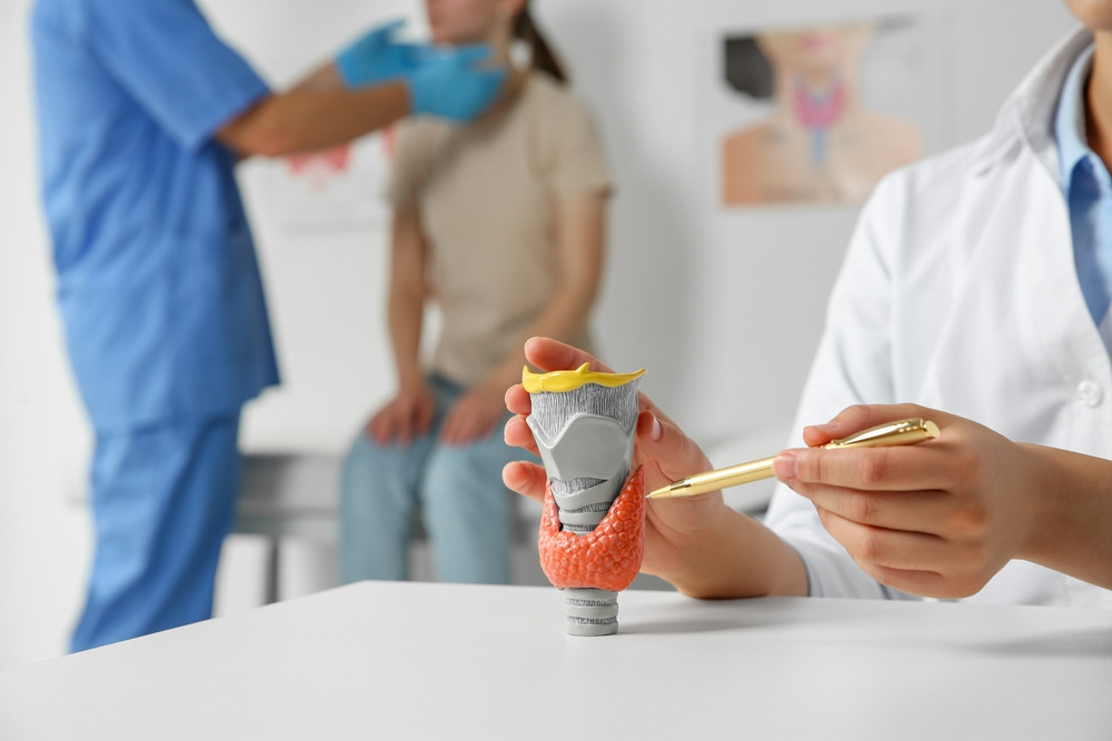 Tout savoir sur l’endocrinologie
