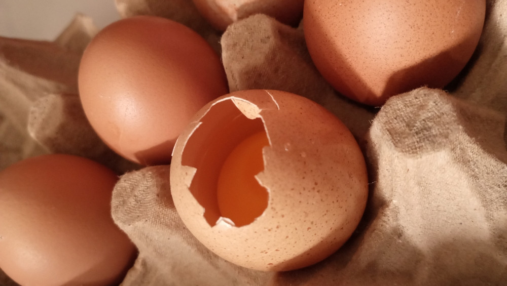 Salmonelle : quels sont les aliments concernés ?