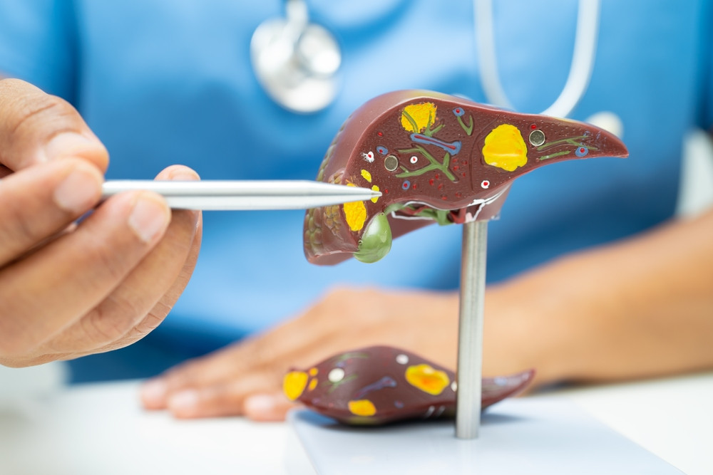 Quelle est l'espérance de vie pour le cancer du foie ?