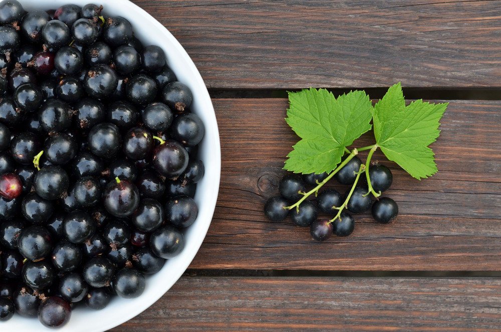Quel est l'index glycémique du cassis ?