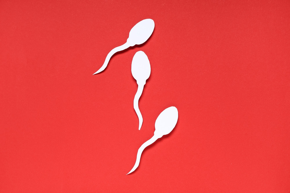 Quelle alimentation augmente la production de spermatozoïdes ?