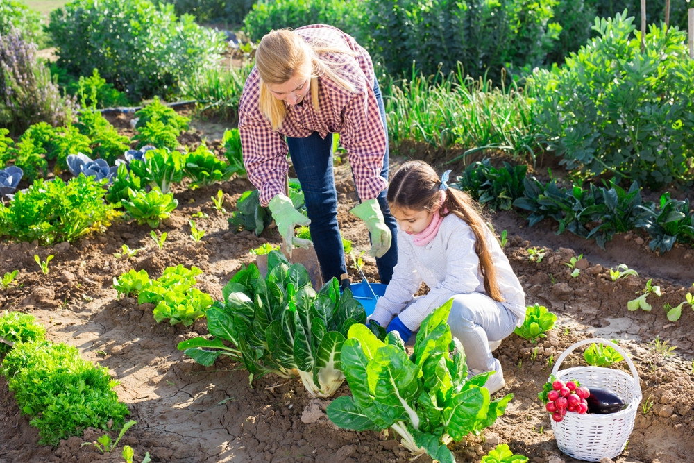 femme et enfant s'occupent du potager 