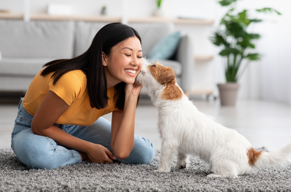5 aliments à ne jamais partager avec son chien