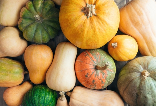 Vrai-Faux sur les courges