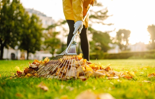 Tout ce qu’il y a à faire dans votre jardin en novembre