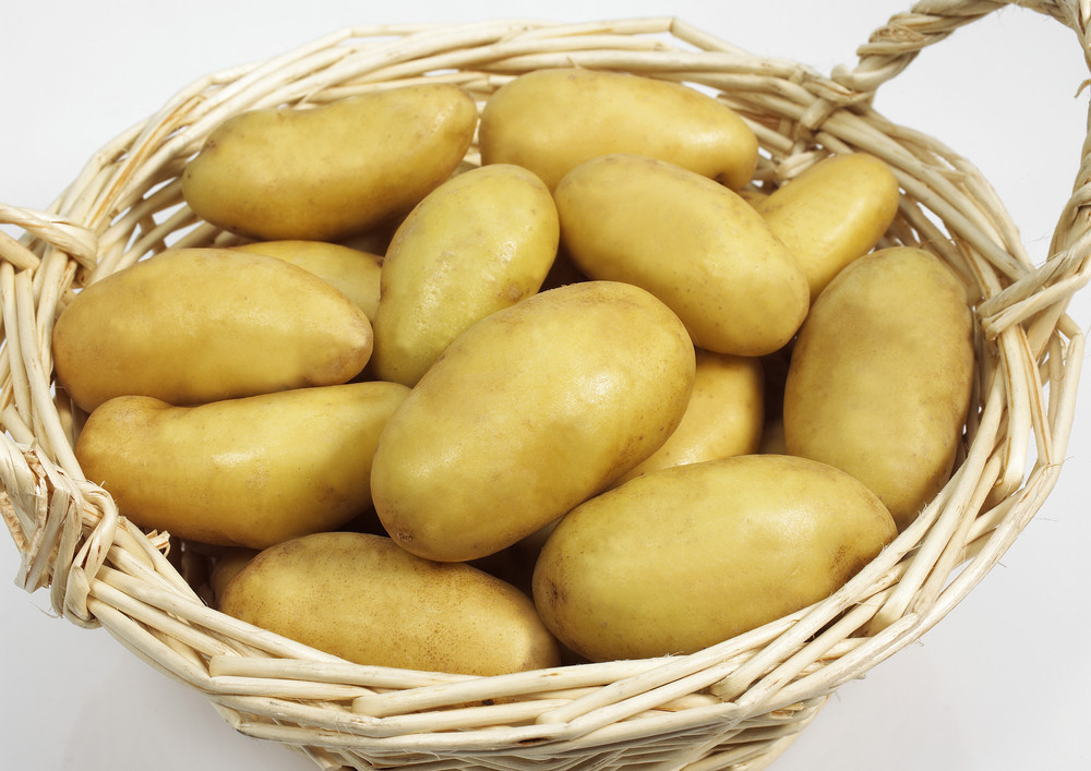 charlotte pomme de terre