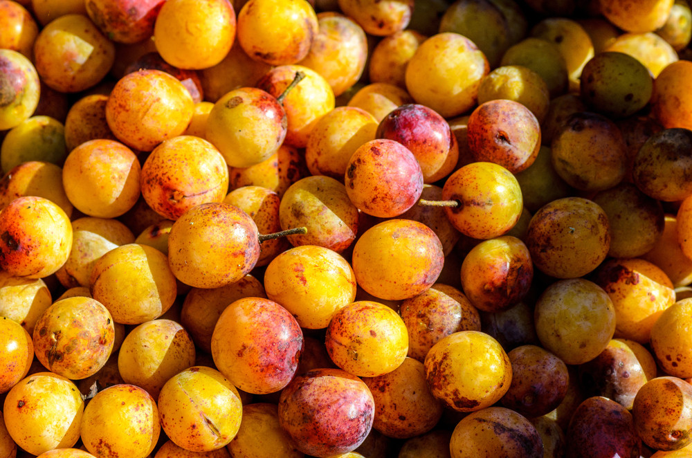 mirabelles