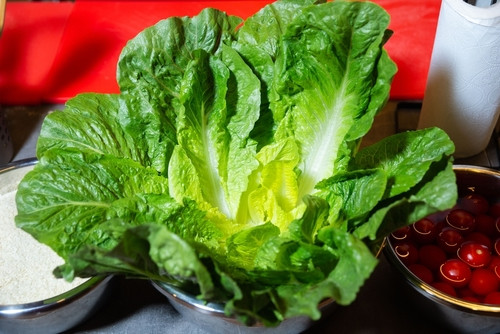 Comment redonner du croquant à une salade ?