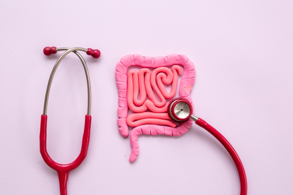 Quel est le rôle des diverticules dans le corps ?