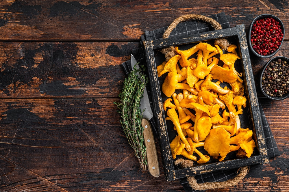 des chanterelles