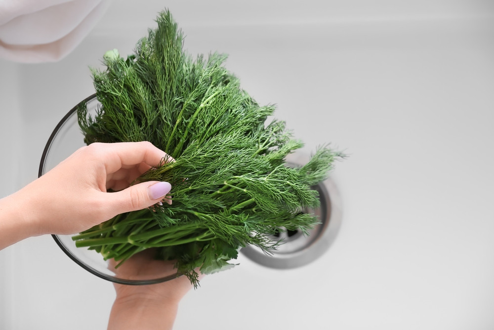 5 bonnes raisons de manger de l’aneth