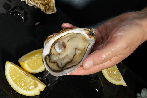 Red Bull et huîtres : la folle tendance culinaire qui bouscule les fêtes de fin d’année