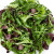 salade romaine et roquette