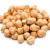 pois chiches crus