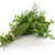 bouquet garni