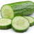 concombre(s)