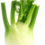fenouil