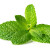menthe