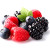fruits rouges