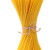 spaghetti (cru)