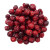 cranberries séchées