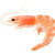 crevettes
