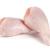 pilon(s) de poulet