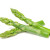 pointes d'asperges vertes