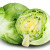 laitue iceberg