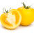 tomate(s) jaune(s)
