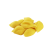 conchiglioni (s)