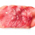 bacon fumé