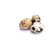 Oeuf(s) de caille