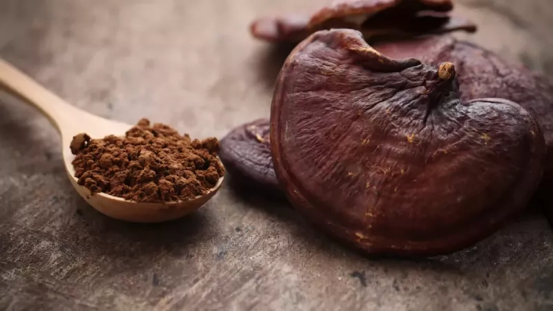 Les bienfaits du reishi : le champignon de l’immortalité