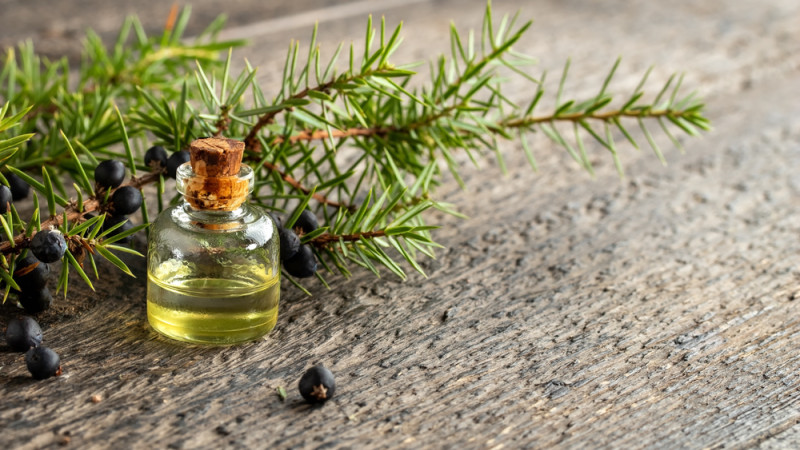 TOP 10 des huiles essentielles détoxifiantes