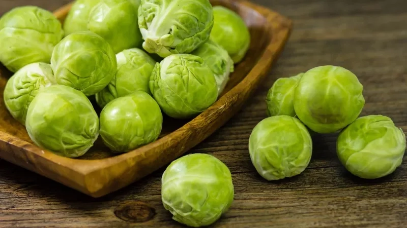 Quand et comment planter des choux de Bruxelles ?