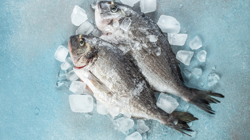 Comment conserver du poisson frais ?