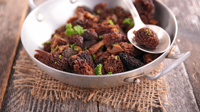 Morilles