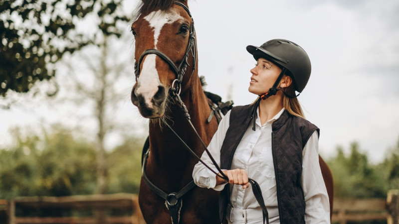 équitation