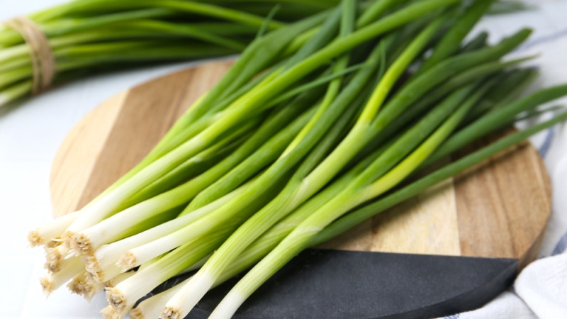 Par quoi remplacer la cébette dans une recette ?