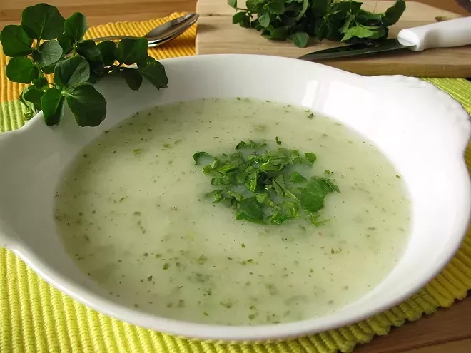 10 recettes au cresson : une plante verte à redécouvrir en cuisine