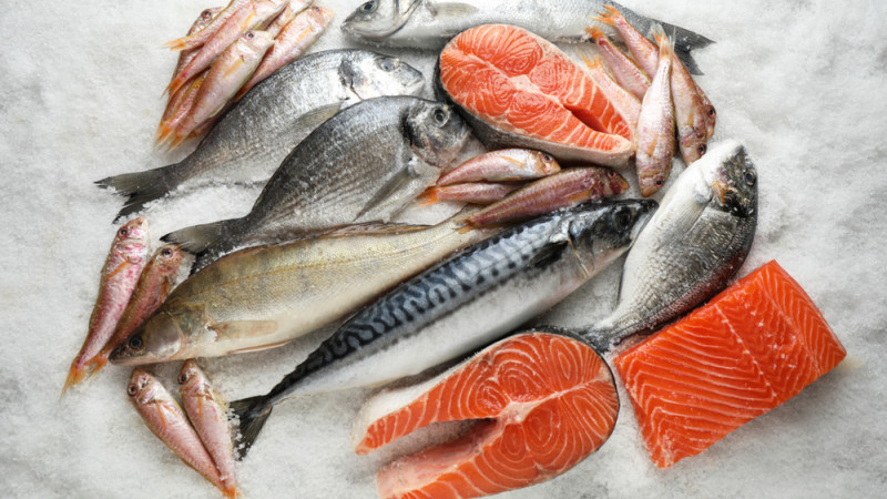 Quel est le poisson le plus protéiné ?